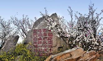 十梅庵今日爆料最新消息,今日最新爆料震撼来袭！  第2张